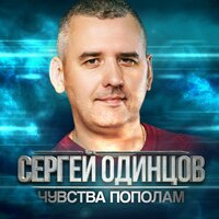 Скачать подборку Сергей Одинцов - Чувства пополам